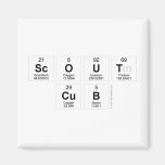 SCOUT
 CUB  Magnets (more shapes)