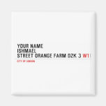 Your Name ishmael Street orange farm dzk 3  Magnets (more shapes)