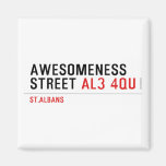awesomeness street  Magnets (more shapes)