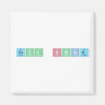 Ceva Swine  Magnets (more shapes)