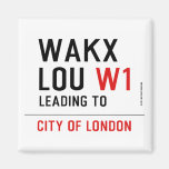 WAKX LOU  Magnets (more shapes)