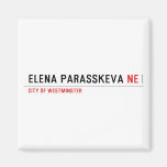 ELENA PARASSKEVA  Magnets (more shapes)