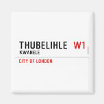 Thubelihle   Magnets (more shapes)