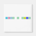 carlos y delia  Magnets (more shapes)