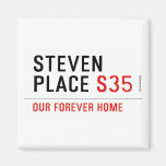 Steven Place  Magnets (more shapes)