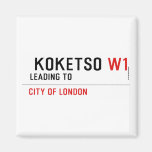  Koketso  Magnets (more shapes)