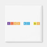 kiss my ass  Magnets (more shapes)