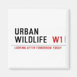 URBAN WILDLIFE   Magnets (more shapes)