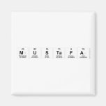 Mustafa  Magnets (more shapes)