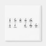 stewards
 of grace  Magnets (more shapes)