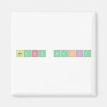 amany wakid  Magnets (more shapes)