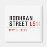 Bodhran Street  Magnets (more shapes)