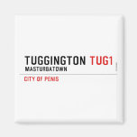 Tuggington  Magnets (more shapes)