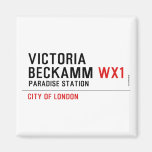 Victoria  Beckamm  Magnets (more shapes)