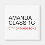AMANDA class 1C  Magnets (more shapes)