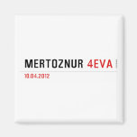 mertöznur  Magnets (more shapes)