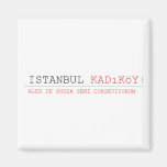 istanbul  Magnets (more shapes)