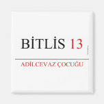 BİTLİS  Magnets (more shapes)
