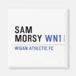 Sam            Morsy  Magnets (more shapes)