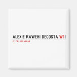 alexie kawehi decosta  Magnets (more shapes)
