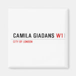 Camila Giadans  Magnets (more shapes)