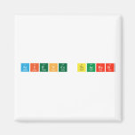 Science teacher  Magnets (more shapes)