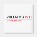 WILLIAMS  Magnets (more shapes)