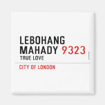 LEBOHANG MAHADY  Magnets (more shapes)