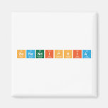 Serendiphia  Magnets (more shapes)