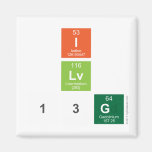 I
 Lv
 13g  Magnets (more shapes)