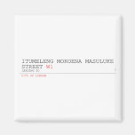 ITUMELENG MOKOENA MASULUKE  Street  Magnets (more shapes)