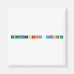 Preparatoria Anahuac  Magnets (more shapes)