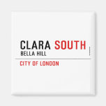 CLARA  Magnets (more shapes)