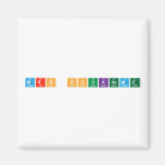 Mrs Soukhome  Magnets (more shapes)
