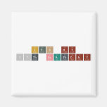 ITS MY 17th BIRTHDAY  Magnets (more shapes)