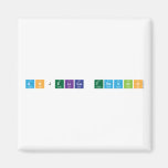 anjelica trevino  Magnets (more shapes)