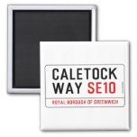 CALETOCK  WAY  Magnets (more shapes)