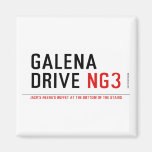 galena drive  Magnets (more shapes)