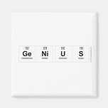 Genius  Magnets (more shapes)