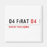 04 fırat  Magnets (more shapes)
