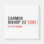 Carmen Bishop 22  Magnets (more shapes)