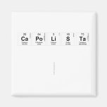 Capolista
 
   Magnets (more shapes)