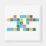 i want
 chocolate party
 and a
 great
 dance night  Magnets (more shapes)