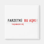 FARZETKİ   Magnets (more shapes)