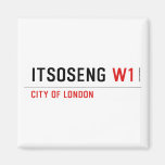 Itsoseng  Magnets (more shapes)