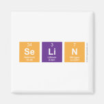Selin  Magnets (more shapes)