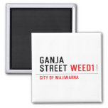 Ganja Street  Magnets (more shapes)