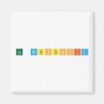 La Resistencia  Magnets (more shapes)