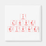 I
 LOVE 
 DIVINE  Magnets (more shapes)