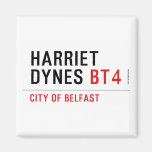 Harriet  Dynes  Magnets (more shapes)